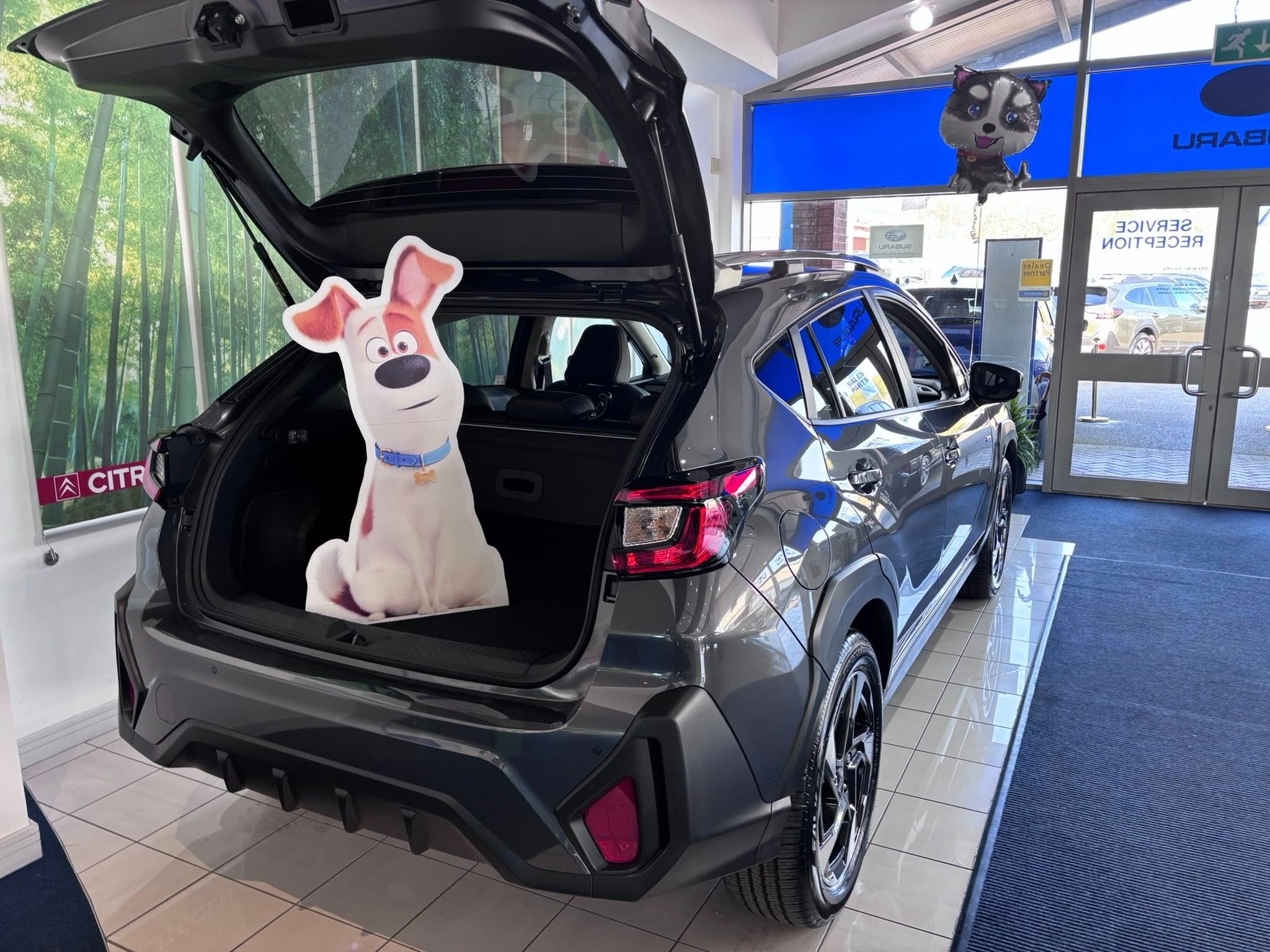 Dog Friendly Test Drive Weekend !