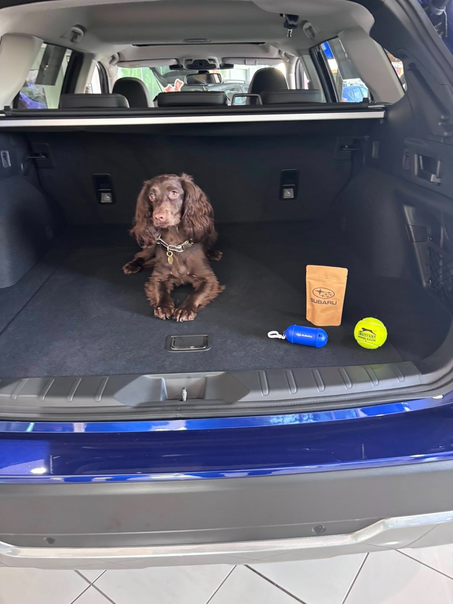 Dog Friendly Test Drive Weekend !