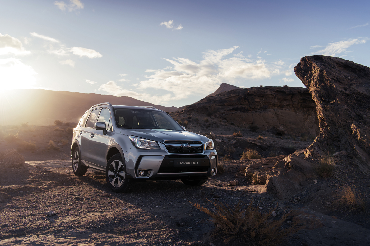The No-Nonsense SUV